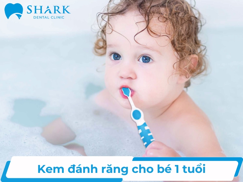 Top 10 kem đánh răng cho bé 1 tuổi được ba mẹ tin dùng